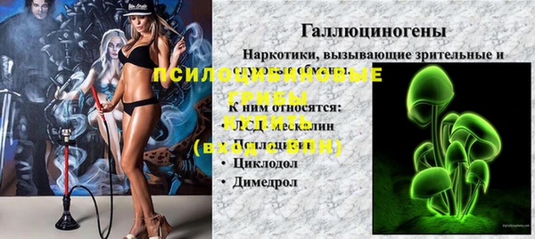 ешки Зеленодольск