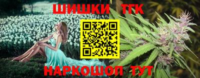 индика Можайск