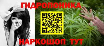 jwh Можга