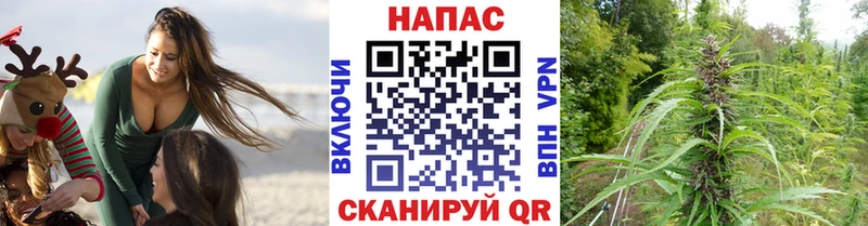 где можно купить   Пыть-Ях  Каннабис THC 21% 